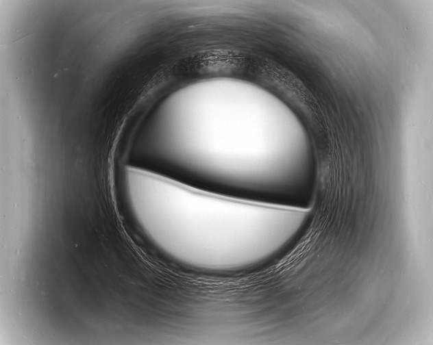 X0000098230722200804241201