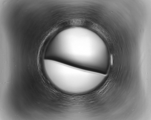 X0000098230723200804241201
