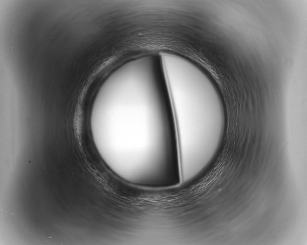 X0000098230724200804241201
