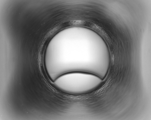 X0000098230725200804241201