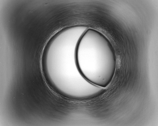 X0000098230726200804241201
