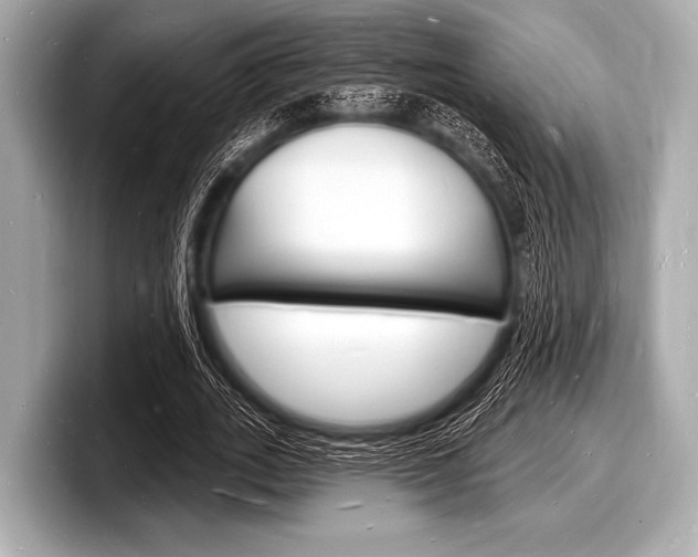 X0000098230727200804241201