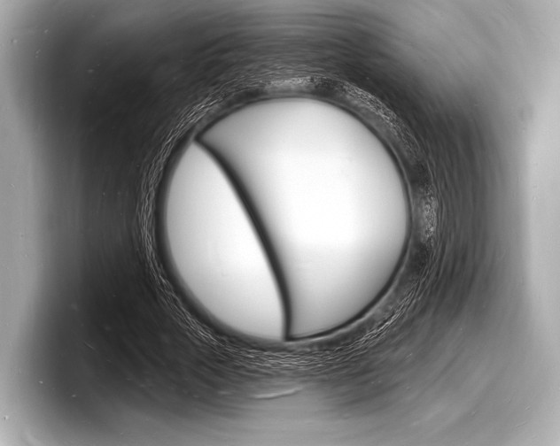 X0000098230729200804241201