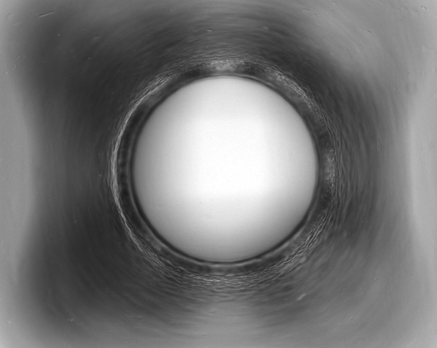 X0000098230730200804241201
