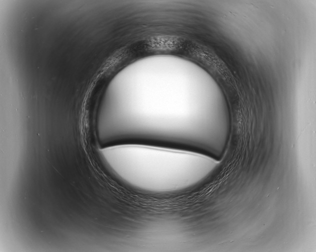 X0000098230731200804241201