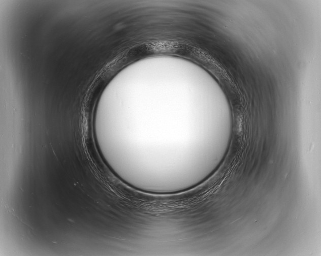 X0000098230733200804241201