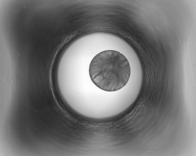 X0000098230734200804241201