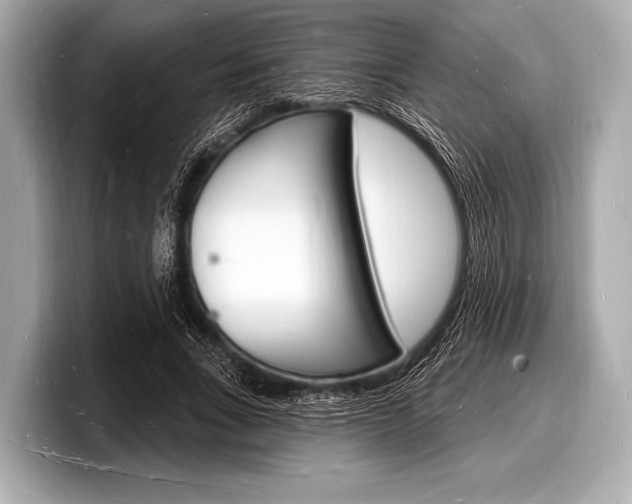 X0000098230735200804241201