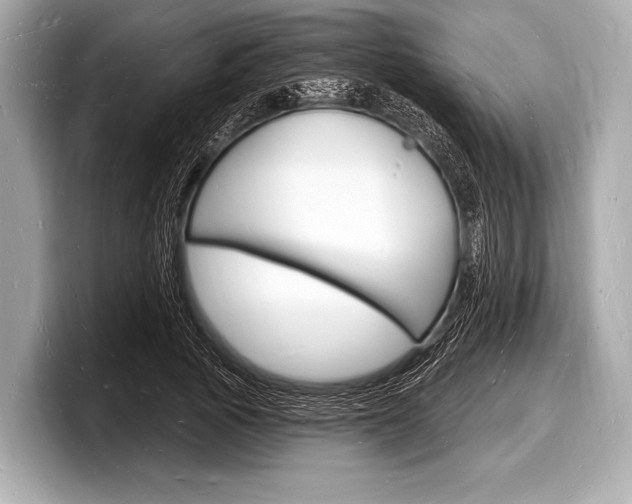 X0000098230737200804241201