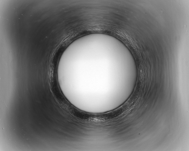 X0000098230739200804241201