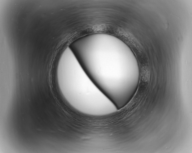 X0000098230740200804241201