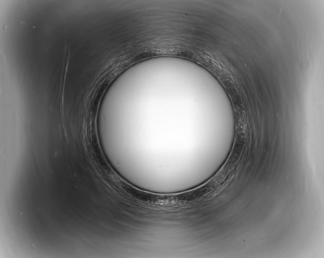 X0000098230744200804241201