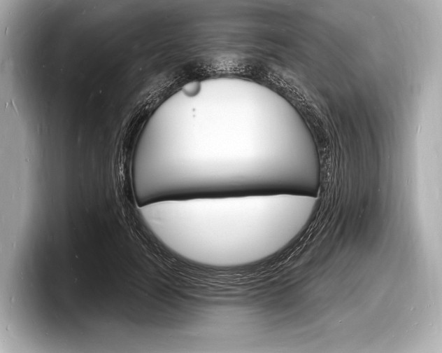 X0000098230746200804241201