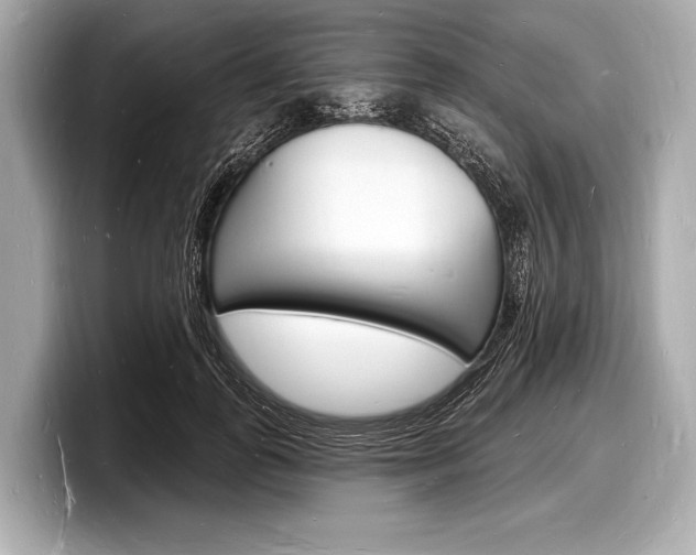 X0000098230747200804241201
