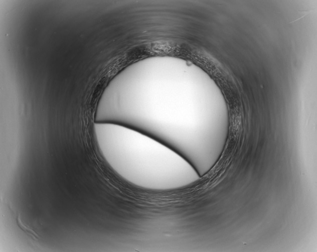 X0000098230749200804241201