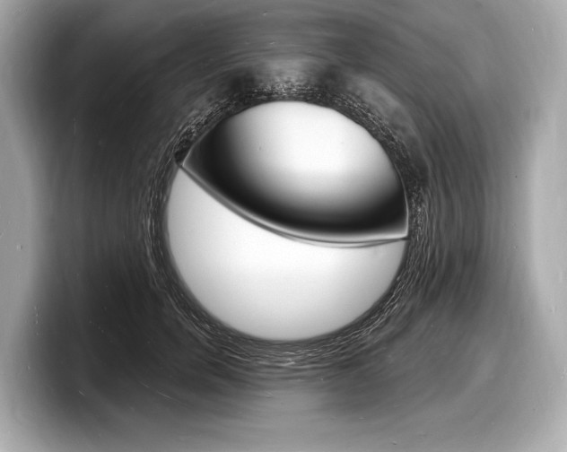 X0000098230750200804241201