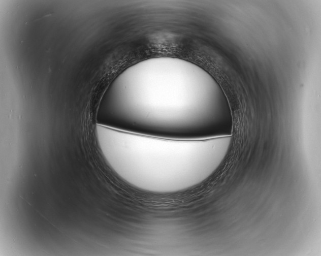 X0000098230752200804241201