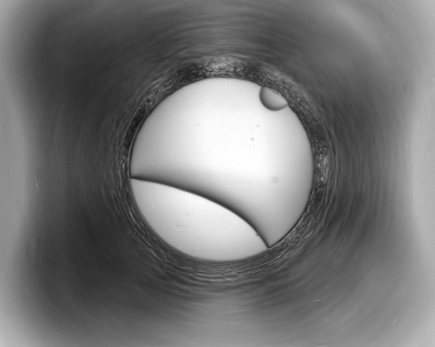 X0000098230753200804241201