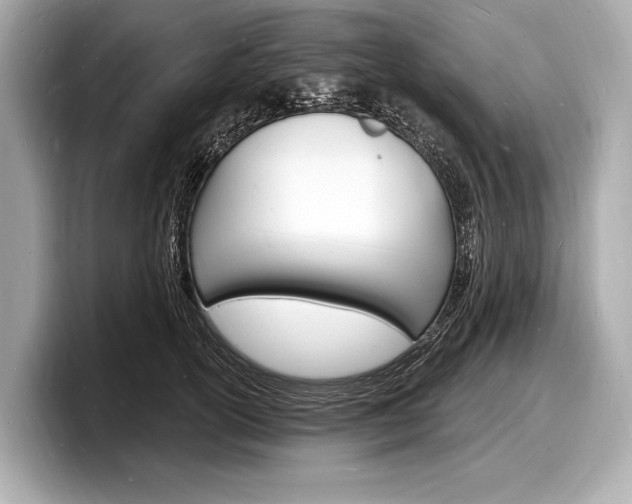 X0000098230754200804241201