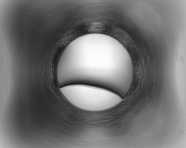 X0000098230755200804241201