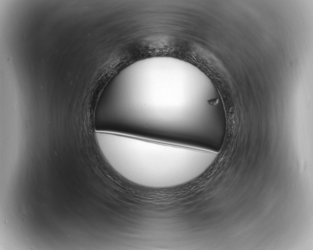X0000098230756200804241201