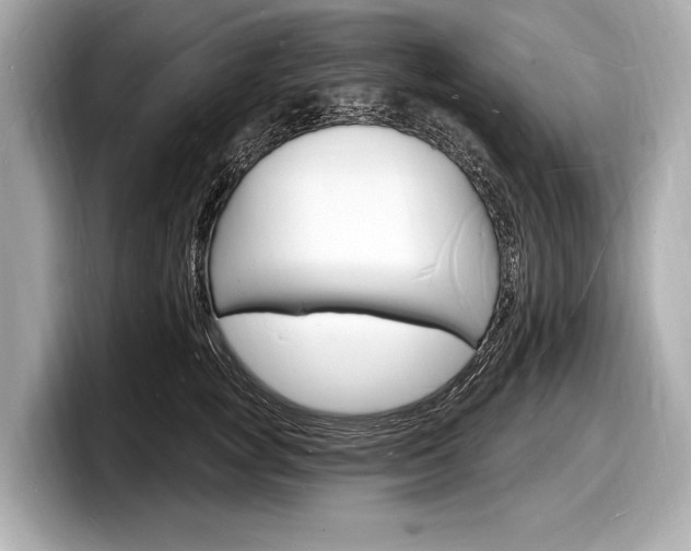 X0000098230757200804241201