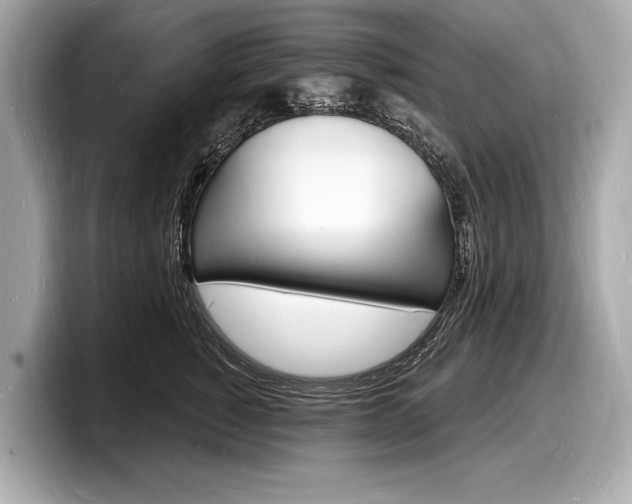 X0000098230760200804241201