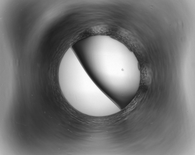 X0000098230762200804241201