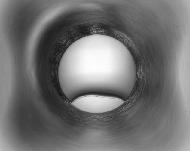 X0000098230763200804241201