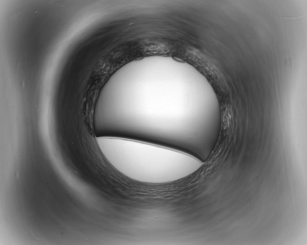 X0000098230764200804241201