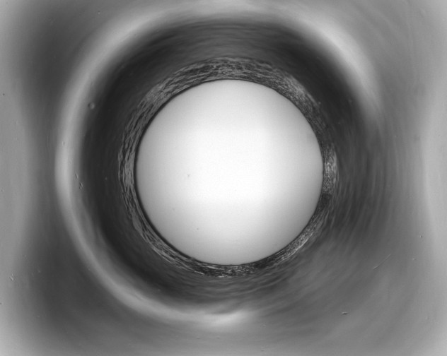 X0000098230765200804241201