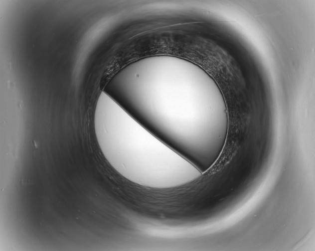 X0000098230766200804241201