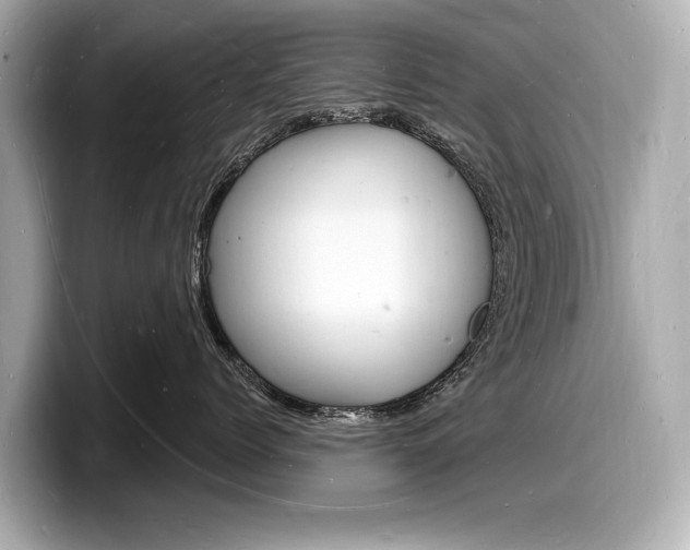 X0000098230768200804241201