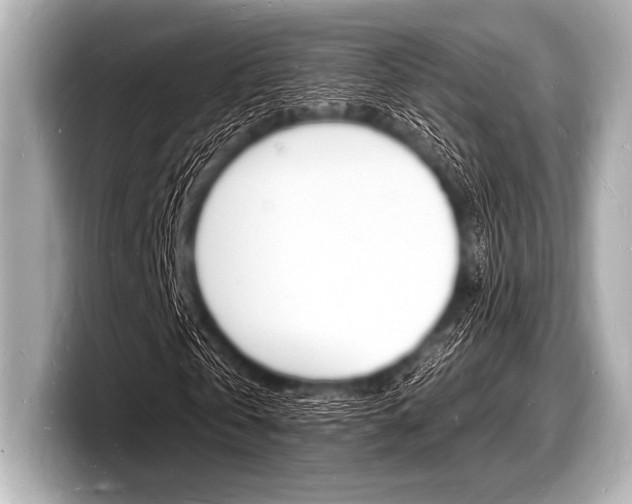 X0000098230769200804241201