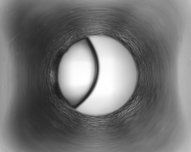 X0000098230772200804241200