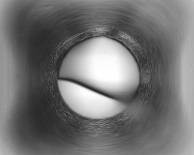 X0000098230773200804241200