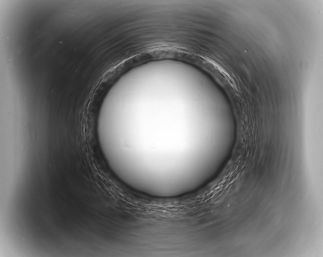 X0000098230775200804241200