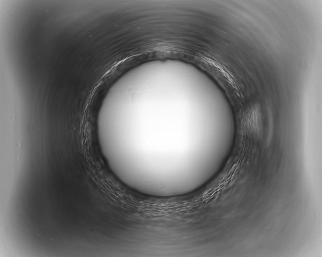 X0000098230776200804241200