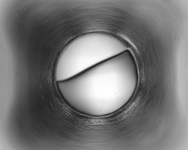 X0000098230777200804241200