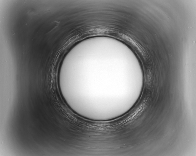 X0000098230778200804241200