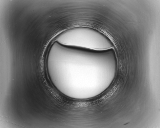 X0000098230779200804241200