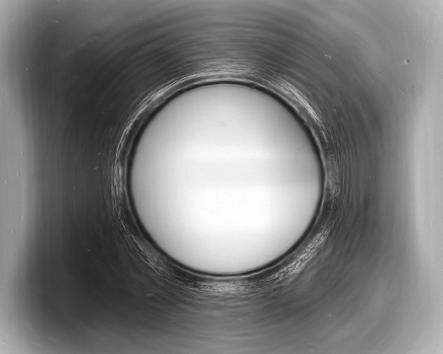 X0000098230781200804241200