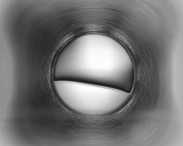 X0000098230786200804241200