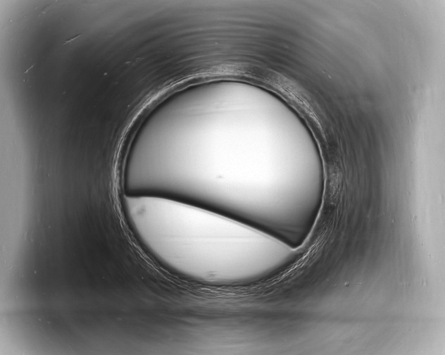 X0000098230789200804241200