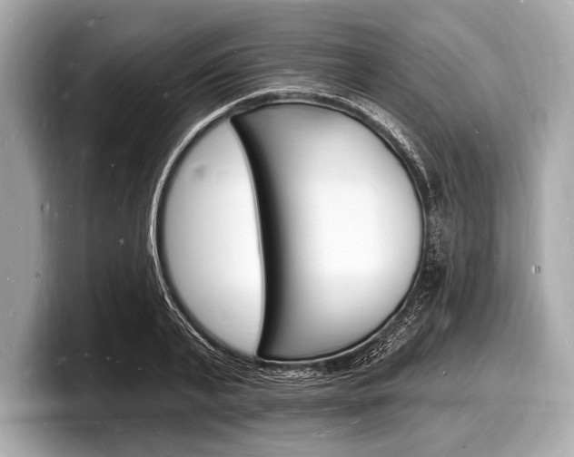 X0000098230791200804241200