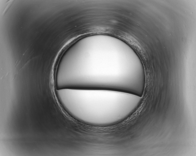 X0000098230792200804241200