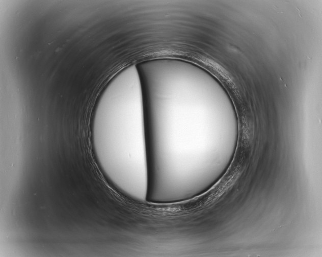 X0000098230793200804241200