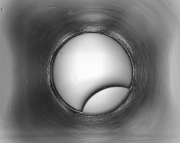 X0000098230794200804241200