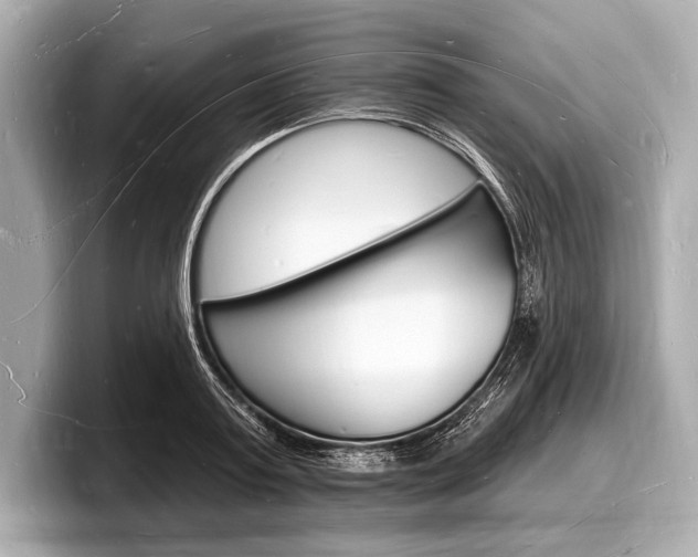 X0000098230795200804241200