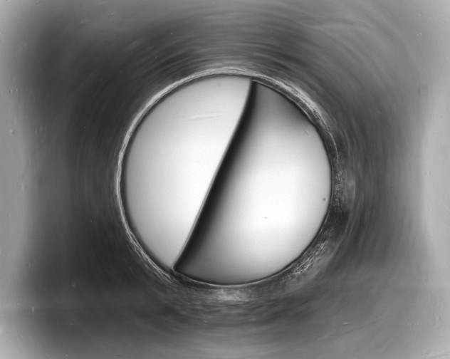 X0000098230799200804241200